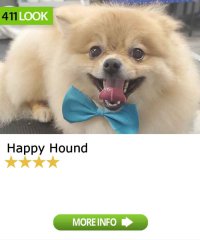 Happy Hound