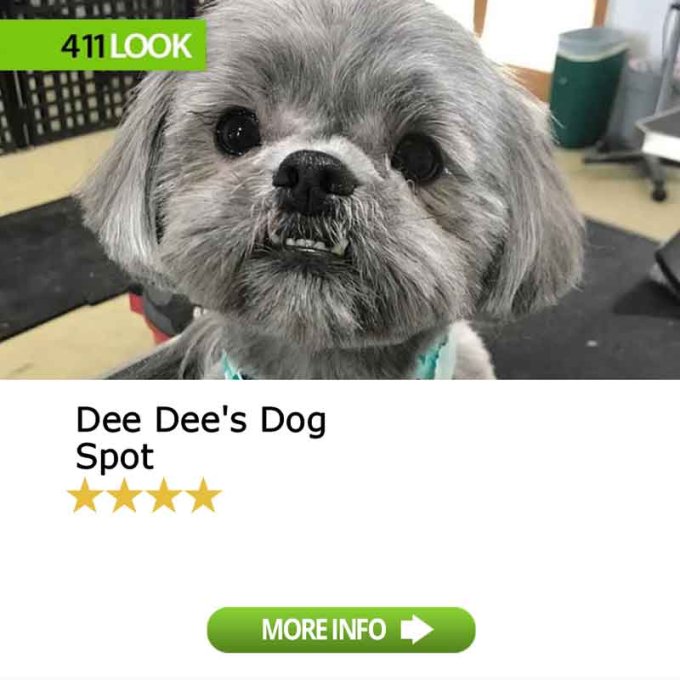 Dee Dee&#8217;s Dog Spot