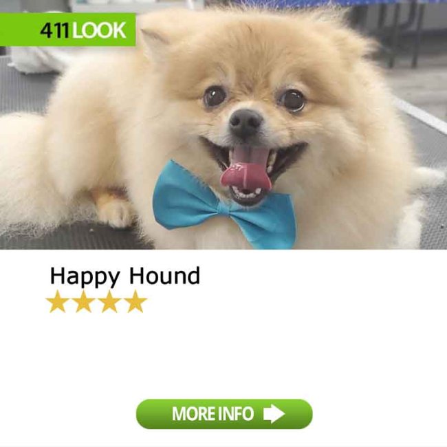 Happy Hound