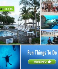 Ventura Dive & Sport