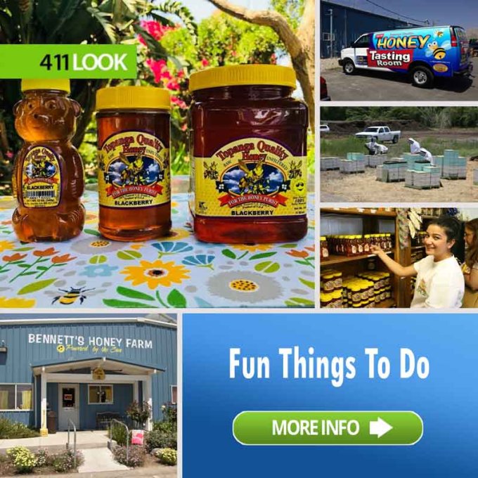 Topanga Quality Honey