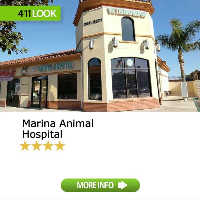 Marina Animal Hospital