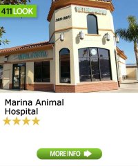Marina Animal Hospital